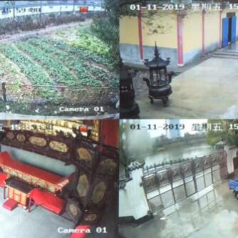 案例展示一